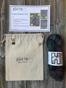 Example of contents of Wonderland Subscription box. Skein of Grey Hypothesis Yarn, Work In Progress Bag, Stitch Markers and Pattern